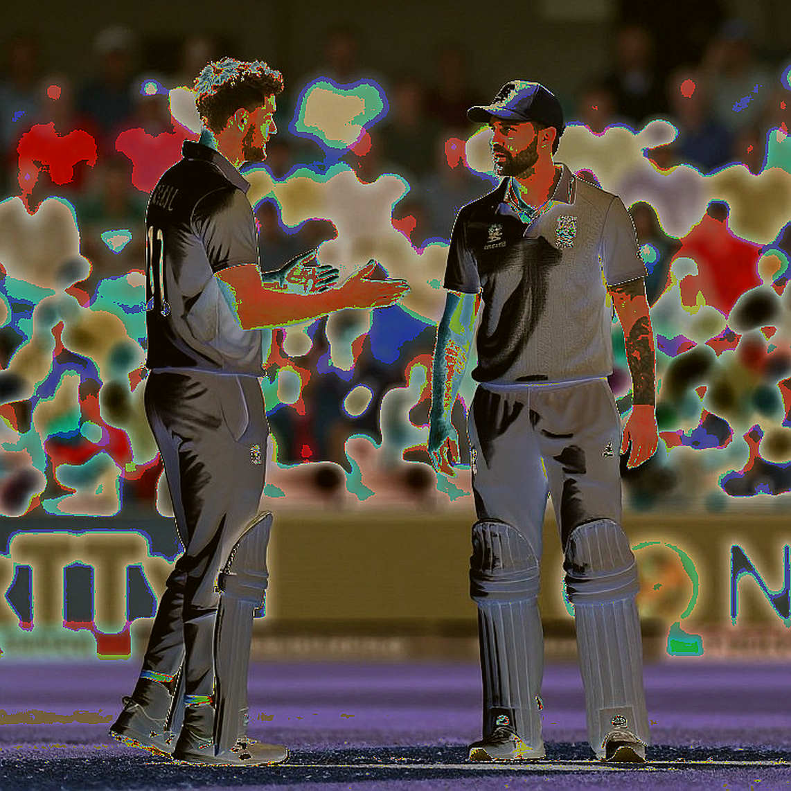 Cricket's Hollow Canvas: Where 'Insufficient Information' Gets Printed as a Verdict Cricket's Hollow Canvas: Where 'Insufficient Information' Gets Printed as a Verdict